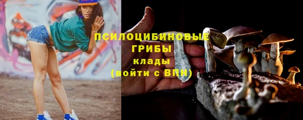 героин Алзамай