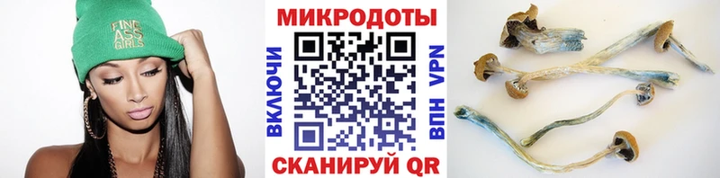 купить наркотики сайты  Новозыбков  Псилоцибиновые грибы Psilocybe 